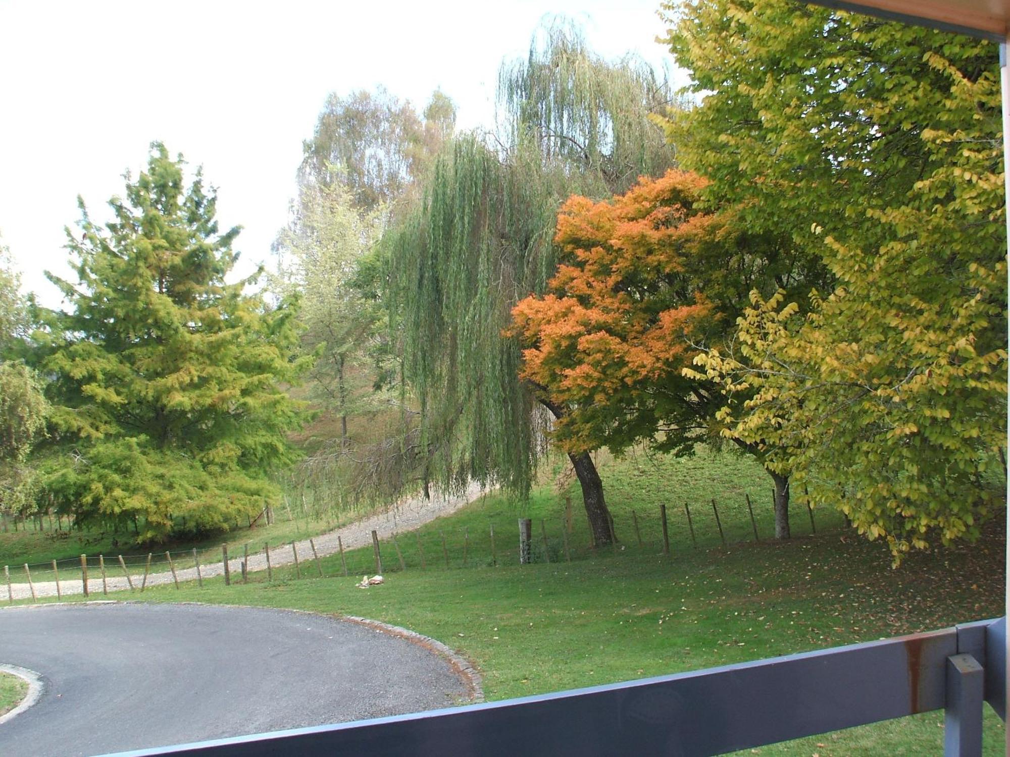 Caves Motor Inn Те-Куити Экстерьер фото
